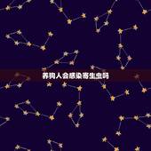 养狗人会感染寄生虫吗(如何预防狗狗传染疾病)