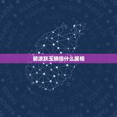 碧波跃玉鳞指什么属相，他的小雀跃百度云