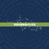 男鼠的婚配属什么生肖，属鼠的婚配什么属相