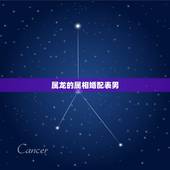 属龙的属相婚配表男，属龙男和什么属相最配