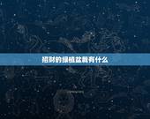招财的绿植盆栽有什么，店铺养什么植物最旺财