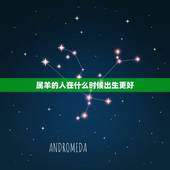 属羊的人在什么时候出生更好，生肖羊出生时辰看财运