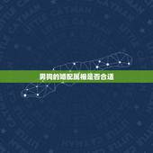男狗的婚配属相是否合适，男狗女狗属相相配吗