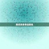 属虎终身幸运颜色，74年属虎2022年幸运色