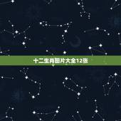 十二生肖图片大全12张，12生肖图片大全12张！有黑色的生肖是那些？