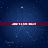 69年出生属鸡2021年运势，69年属鸡的2021年命运好不好