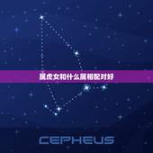 属虎女和什么属相配对好，属虎女最忌配什么属相