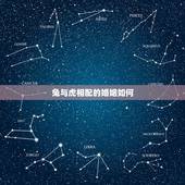 兔与虎相配的婚姻如何，属虎和兔相配婚姻如何