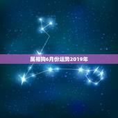 属相狗6月份运势2019年，属狗人2019年运势怎么样？