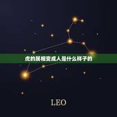 虎的属相变成人是什么样子的，生肖虎的男生看到长得好看的，女生都是什么样