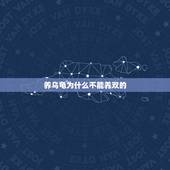养乌龟为什么不能养双的，养龟为什么不能养双？