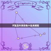 子鼠丑牛寅卯兔十生肖婚配，子鼠丑牛寅虎卯兔成龙巳蛇…… 这是哪首歌的歌