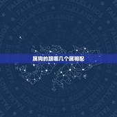 属狗的跟哪几个属相配，男属狗的和什么属相最配