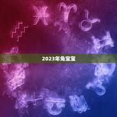 2023年兔宝宝，2022添丁生男孩生肖