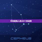 牛年属兔人的2011年运势，2022 年属兔人的全年运势