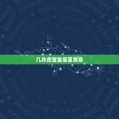 几月虎宝宝是富贵命，2022年属虎几月出生好