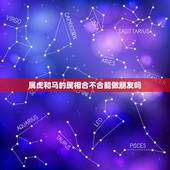 属虎和马的属相合不合能做朋友吗，属虎与属马的属相合吗