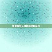 家里放什么绿植比较好风水，家里摆放多种绿色植物风水好不好