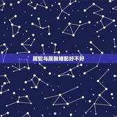 属蛇与属猴婚配好不好，属蛇和属猴的婚配好吗
