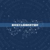 属羊生什么属相的孩子最好，属龙和属羊的生什么属相最好