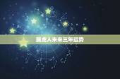 属虎人未来三年运势，属马十年内运势