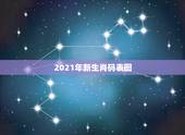 2021年新生肖码表图，2021年生肖表在哪看？