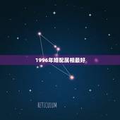 1996年婚配属相最好，96年属鼠的和什么属相最配 1996年属鼠的人