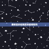 属老鼠的和属蛇的能婚配吗，属老鼠的和属蛇的婚姻相配吗？