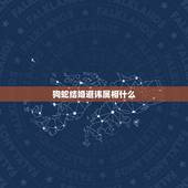 狗蛇结婚避讳属相什么，大五岁的属相蛇配女属相狗是否合适