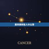 属羊辰时生人什么命，农历1991年9月24日生的