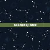 1月底2月初算什么属相，比喻我是1965年2月1日戍时生的这年是己已年