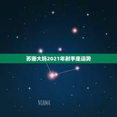 苏珊大妈2021年射手座运势，2021年射手座的事业运势如何？