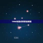 1986年属虎男更佳婚配，1986年属虎2022年运势