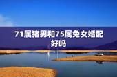 71属猪男和75属兔女婚配好吗，75年属兔的女性能和71年属猪的男性成