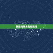 属猴和属兔的相配吗，属鼠的能和属兔的结婚