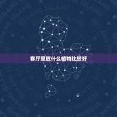 客厅里放什么植物比较好，客厅放什么植物好