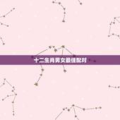 十二生肖男女最佳配对，十二生肖配对