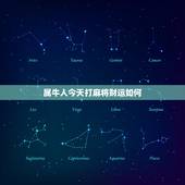 属牛人今天打麻将财运如何，2022 年属牛的今天打牌坐哪