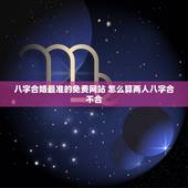 八字合婚最准的免费网站 怎么算两人八字合不合