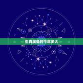 生肖属兔的今年多大，生肖兔今年几岁
