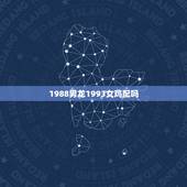 1988男龙1993女鸡配吗，鸡与马谁更厉害