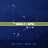 1996年属于什么生肖，1996年是什么生肖