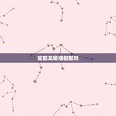 蛇配龙婚姻相配吗，男龙女蛇夫妻运势