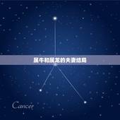 属牛和属龙的夫妻结局，龙和牛在一起财运好吗