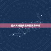 前夫再婚配偶能分前妻房产吗，新婚姻法再婚夫妻可以分婚前房产吗