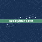 地支顺生好还是天干顺生好些，天干顺食格局如何