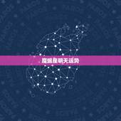 魔蝎座明天运势，摩羯座今日运势