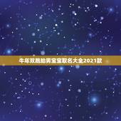 牛年双胞胎男宝宝取名大全2021款，何姓牛宝宝取名大全2021款