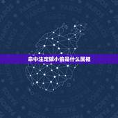 命中注定做小偷是什么属相，牛鬼蛇神爬上山，草木皆兵古而来。命中注定做小