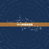 1975年属兔运程，1975年属兔人的财运